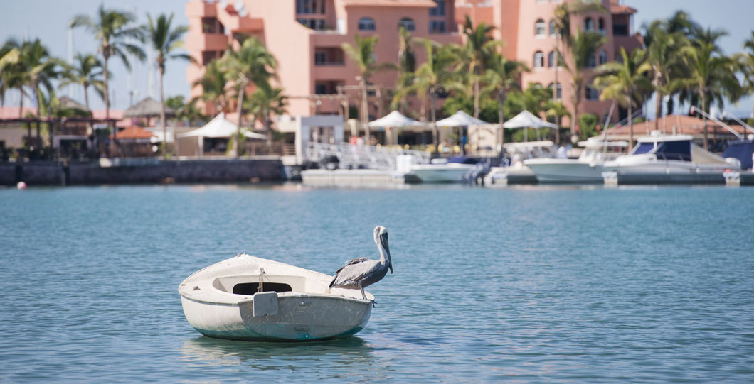 Relaxing on the Gulf